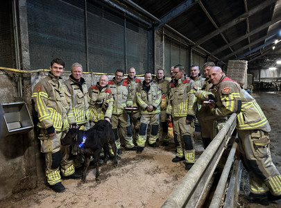 Brandweer Beemster met kalf Fire