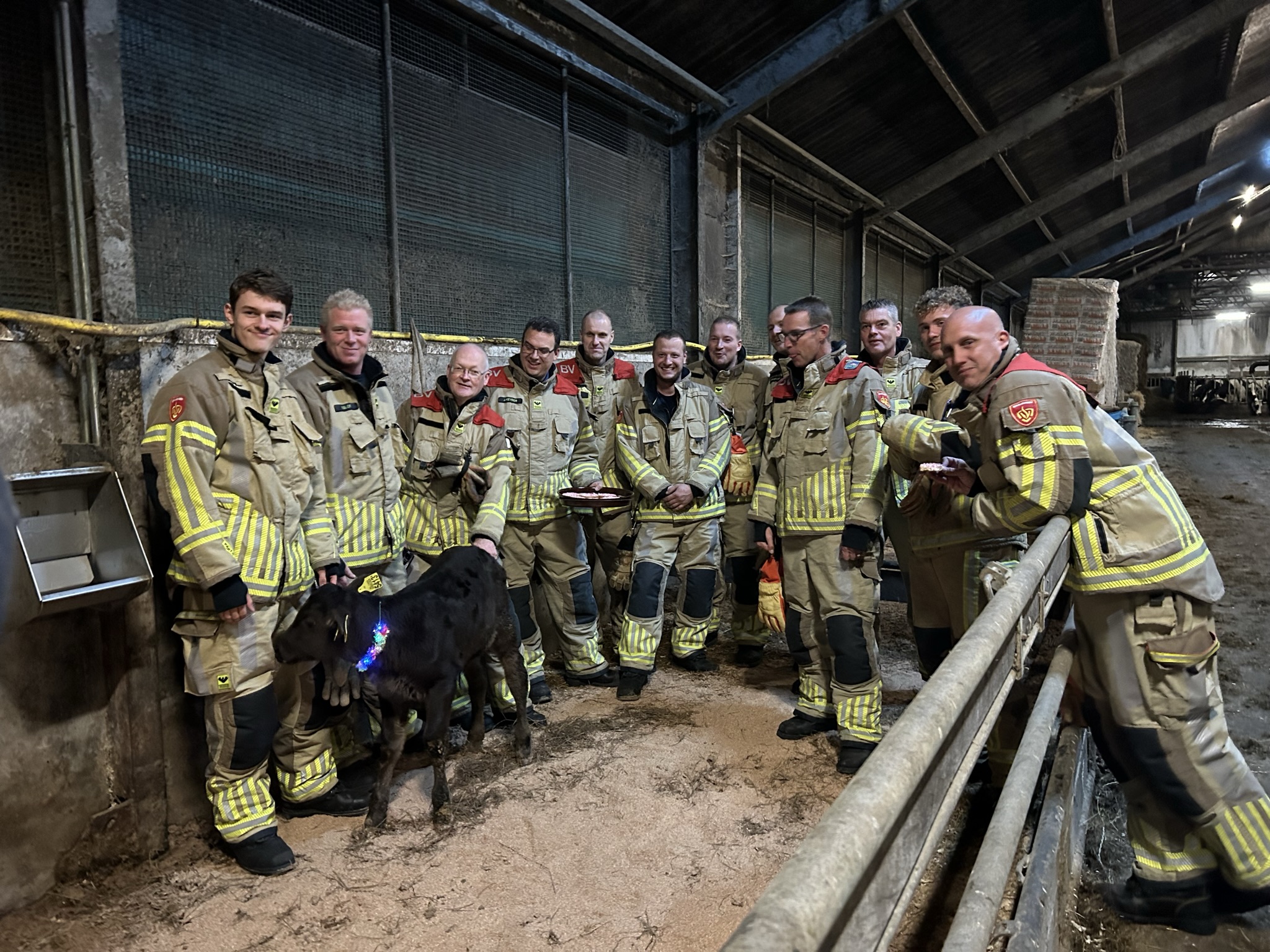 Brandweer Beemster met kalf Fire