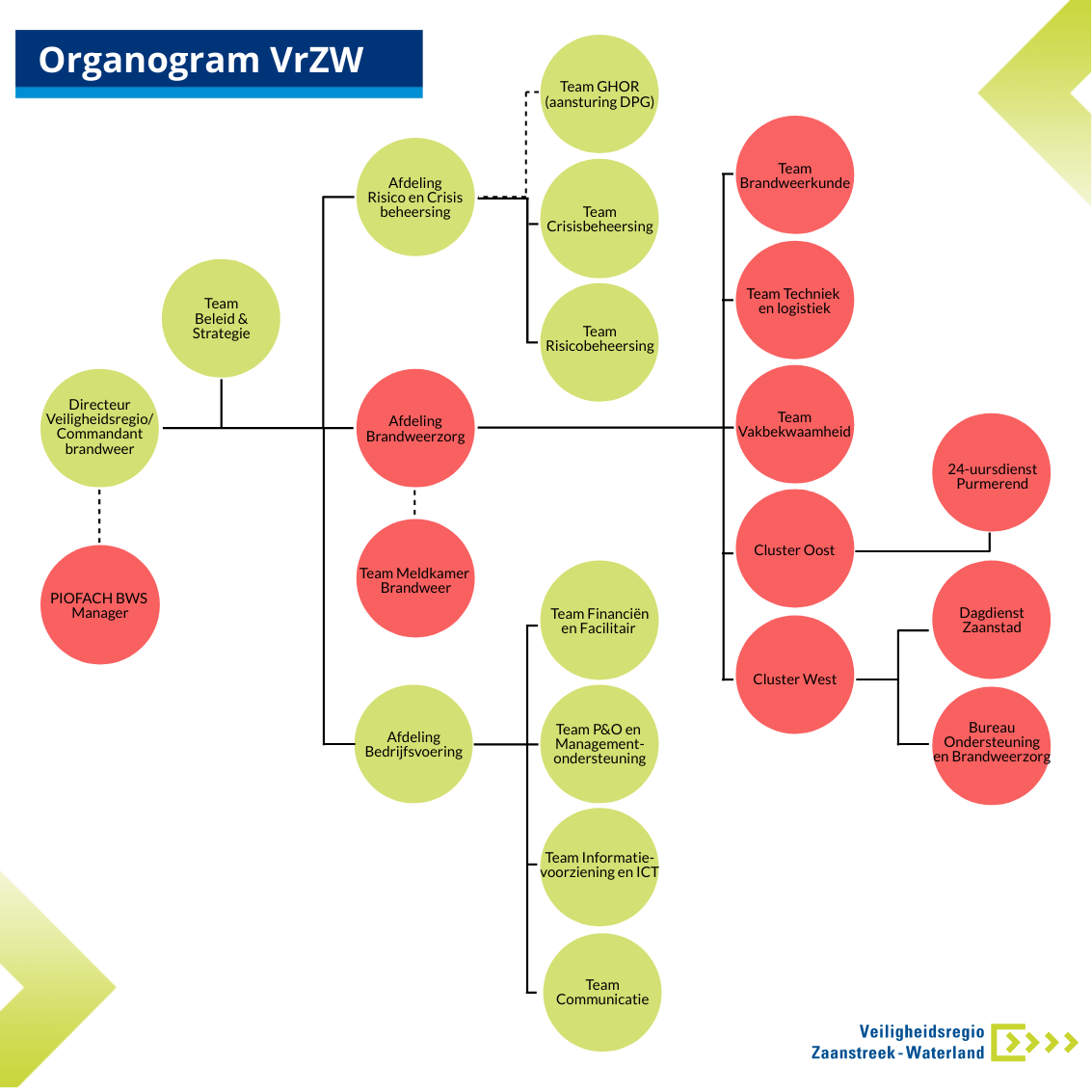 Organogram van de organisatie